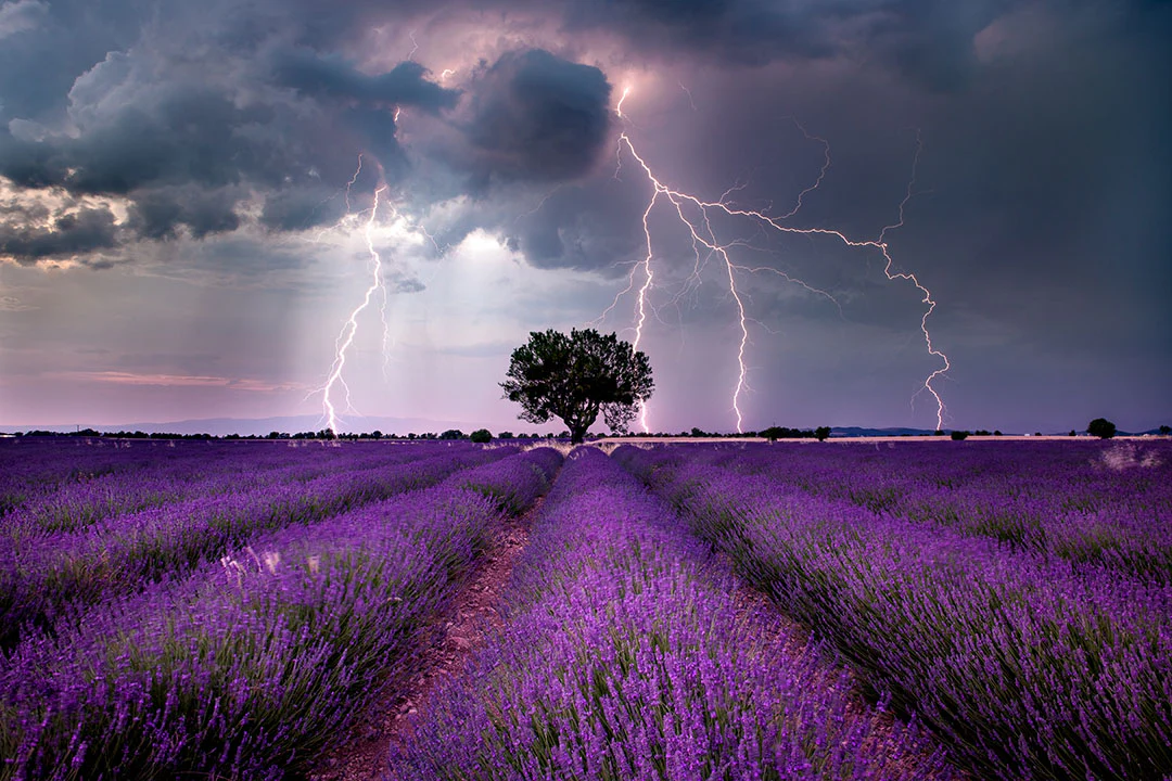 Master Photography with Tim Shields
